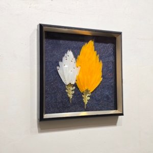 Dual Tone Feather 3D Shadow Box Painting - 16 × 16 inches