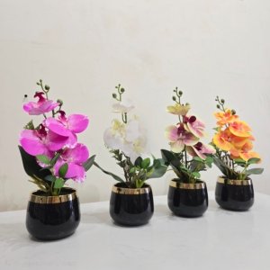 Orchids in Ceramic Crome Coated Flower Pots Black - 12 inches
